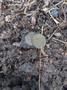 Изображение WhatsApp 2024-09-11 в 12.31.54_746e509a.jpg