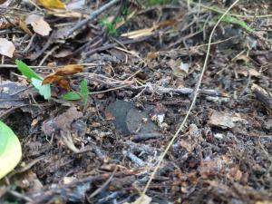 Изображение WhatsApp 2024-09-15 в 12.32.38_e229974b.jpg