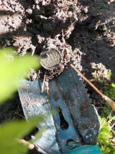 Изображение WhatsApp 2024-09-17 в 11.56.11_c9a980d3.jpg