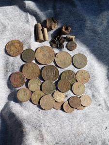 Изображение WhatsApp 2024-09-27 в 13.21.04_efdd5837.jpg