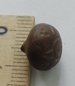 WhatsApp Image 2024-05-13 at 10.41.47 (1).jpeg