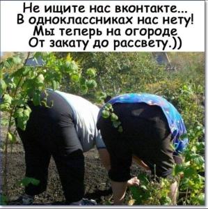 funny-klev-club-p-smeshnie-kartinki-prikoli-pro-ogorodnikov-30.thumb.jpg.aee97e5dccadd1c134d0278b7f76d29f.jpg