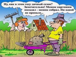 funny-klev-club-p-smeshnie-kartinki-prikoli-pro-ogorodnikov-7.thumb.jpg.e8c6384b3d051d3c1e58fce834d62eb8.jpg