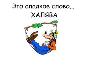 funny-klev-club-p-smeshnie-kartinki-pro-khalyavu-15.thumb.jpg.3f3c8076938178d826be652a9bce2c14.jpg