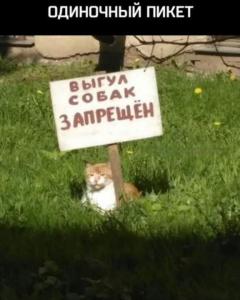 scale_720 - 2024-09-26T092822.499.jpeg