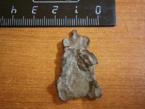 бонус корона на гербу 006.JPG