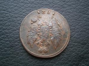 1коп828км ам+1коп821км ам+денга775кмсибирь 006.JPG