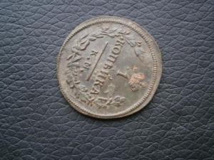 1коп828км ам+1коп821км ам+денга775кмсибирь 012.JPG