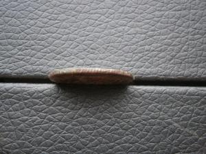 1коп828км ам+1коп821км ам+денга775кмсибирь 024.JPG