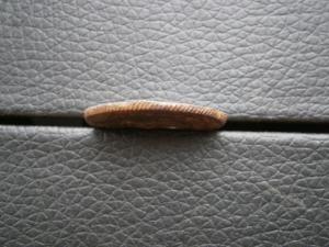 5к792км+2ксеребр840см+коп771км+778км+769км+полушка 805км.кольцев 030.JPG