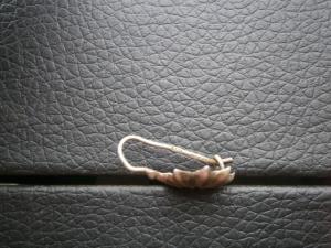 две серьги и кольцо обруч 84 пробы 006.JPG