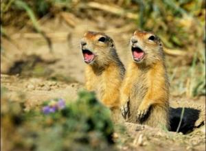 Screenshot_20241023_050904_Yandex Start.jpg