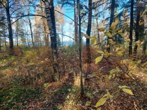 Изображение WhatsApp 2024-10-04 в 12.40.07_80f46f9d.jpg