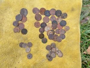 Изображение WhatsApp 2024-10-05 в 13.35.17_90ad6a29.jpg