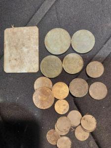 Изображение WhatsApp 2024-10-13 в 18.17.41_87e9a266.jpg