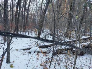 Изображение WhatsApp 2024-10-13 в 18.18.21_a62aaa7f.jpg