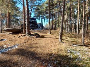 Изображение WhatsApp 2024-10-16 в 14.16.45_7f7e40df.jpg