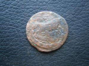 1.2копНиколы9шт+3и2копнизкопроф+ден786ем+ден784км 018.JPG