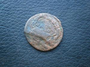 1.2копНиколы9шт+3и2копнизкопроф+ден786ем+ден784км 020.JPG