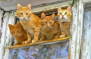 Screenshot_20241112_185827_Yandex Start.jpg