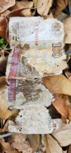 Изображение WhatsApp 2024-11-02 в 13.25.51_1d4581d7.jpg