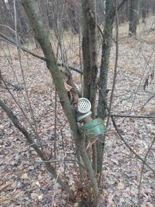 Изображение WhatsApp 2024-11-03 в 15.20.53_71c0dfa6.jpg