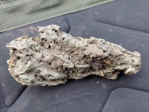 Изображение WhatsApp 2024-11-05 в 12.54.55_1c2cc8b9.jpg