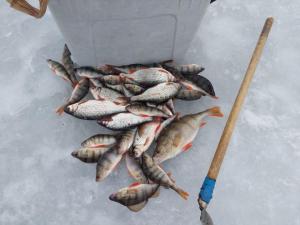 Изображение WhatsApp 2024-11-18 в 14.07.57_f2175db8.jpg