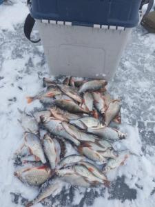 Изображение WhatsApp 2024-11-21 в 16.44.41_3a4994eb.jpg