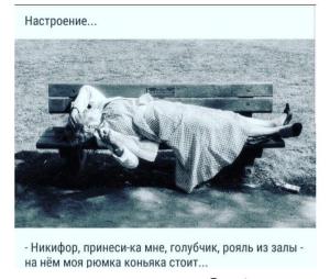 scale_720 - 2024-11-19T161842.620.jpeg