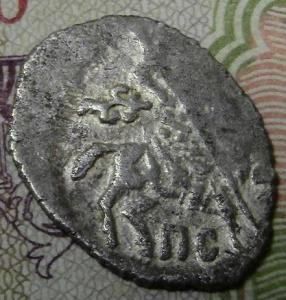 фото с чешуей 006.JPG