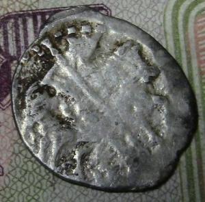 фото с чешуей 008.JPG