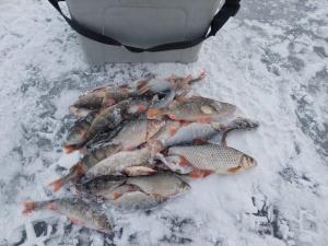 Изображение WhatsApp 2024-12-10 в 14.57.27_1ed73290.jpg