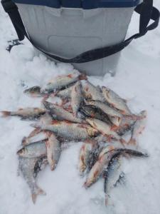 Изображение WhatsApp 2024-12-13 в 17.11.41_33272429.jpg