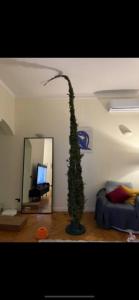 Изображение WhatsApp 2024-12-18 в 18.24.44_e14bbfe2.jpg