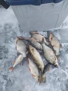 Изображение WhatsApp 2024-12-23 в 13.45.19_8c466643.jpg