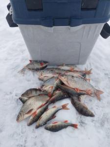 Изображение WhatsApp 2024-12-25 в 15.29.31_49916706.jpg