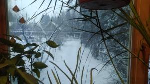 WhatsApp Image 2024-12-08 at 15.56.28.jpeg