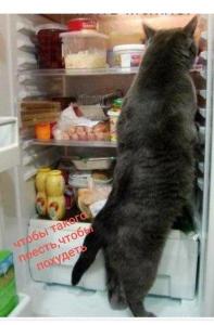 cool-klev-club-xa4f-p-prikolnie-kartinki-kot-u-kholodilnika-29.thumb.jpg.2fe429fa81f3f044d31d11db621b817d.jpg