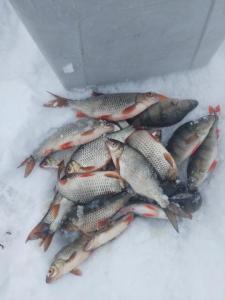 Изображение WhatsApp 2025-01-09 в 14.55.52_6539cc8c.jpg