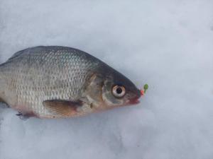 Изображение WhatsApp 2025-01-09 в 14.55.53_9f161fe8.jpg