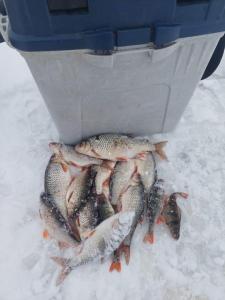 Изображение WhatsApp 2025-01-20 в 14.52.44_59a527b8.jpg