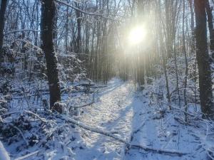 WhatsApp Image 2025-01-09 at 09.12.48.jpeg