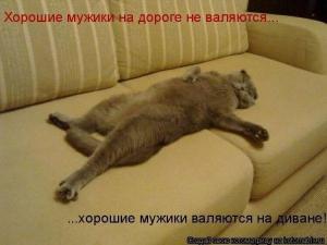funny-klev-club-p-smeshnie-kartinki-lezhu-na-divane-prikolni-3.thumb.jpg.86f463ae517e7be8f597d70234fda756.jpg