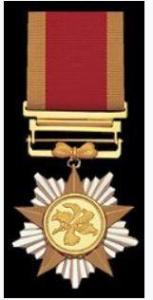 Большая медаль Баугинии.JPG