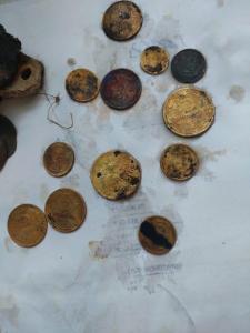 20250227_094628 (1).jpg