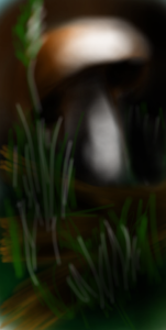 Без названия241.png