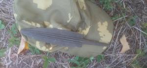 IMG_20240919_113936 — копия.jpg