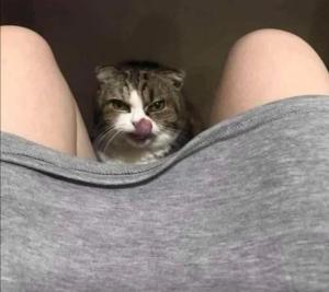 Screenshot_20250209_114354_Yandex Start.jpg