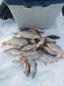 Изображение WhatsApp 2025-02-14 в 14.08.08_3be275be.jpg